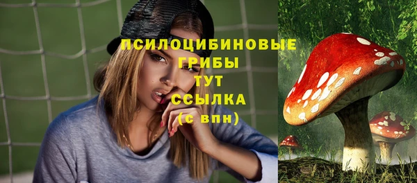 2c-b Абаза