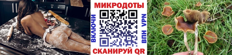 Псилоцибиновые грибы Cubensis  MEGA как войти  Новосиль 